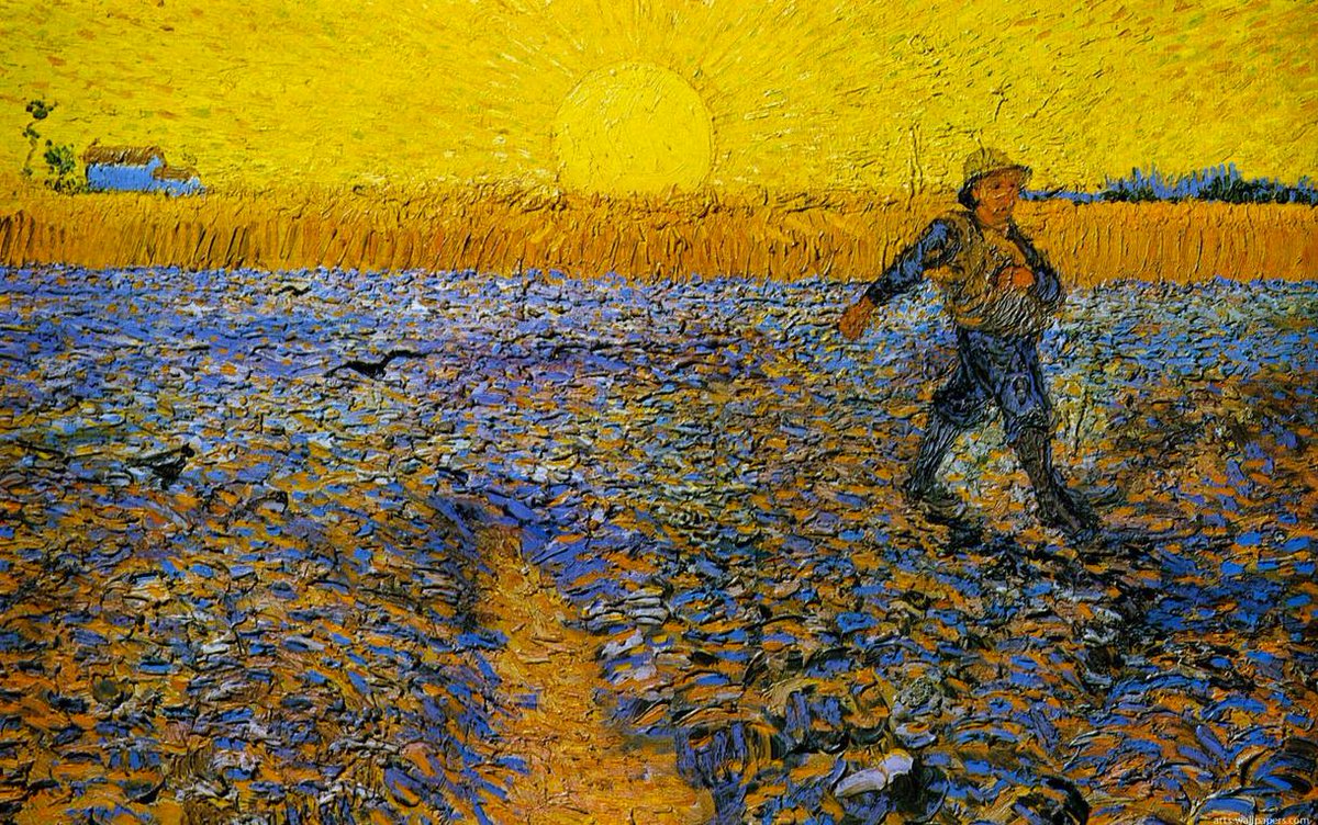 Allison Massari, CPAE tweet media