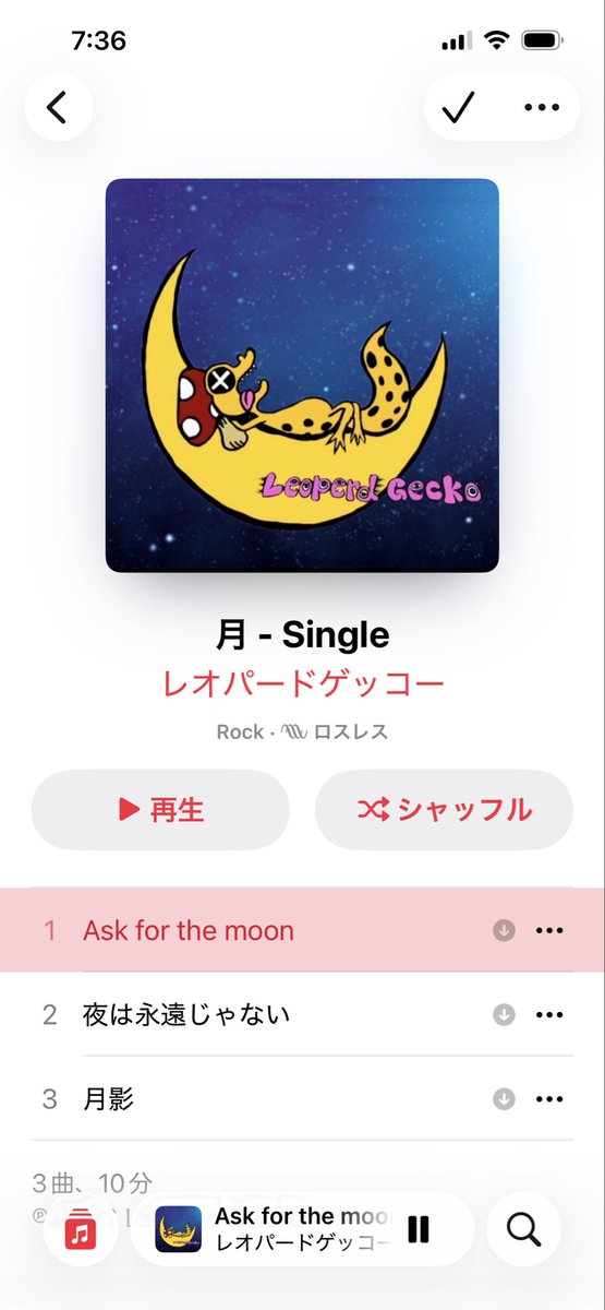 みぃ✾レオパードゲッコー tweet media