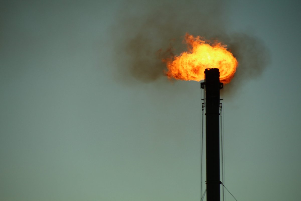 Eoin McMillan tweet media