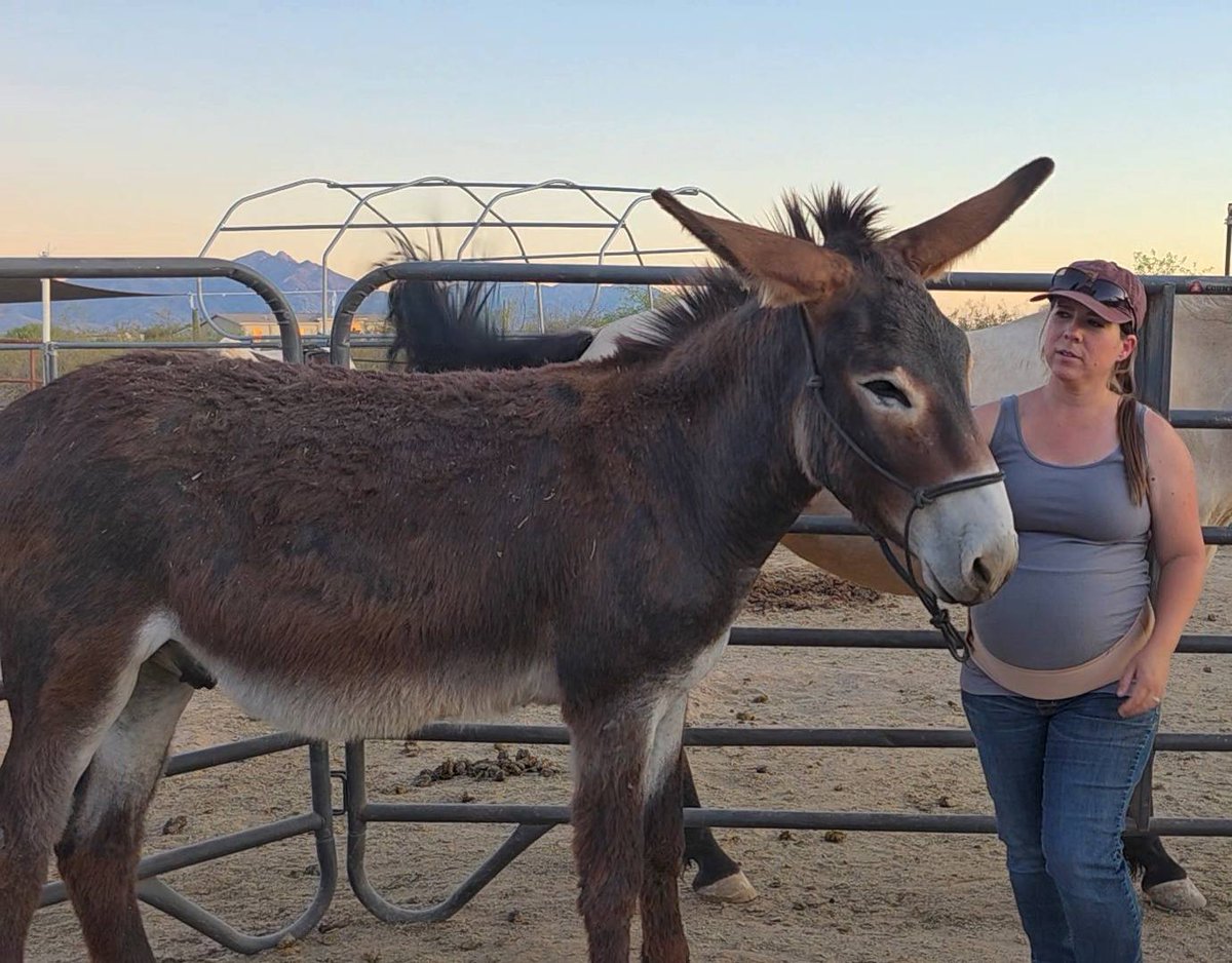 Hannah Zchokkei tweet media