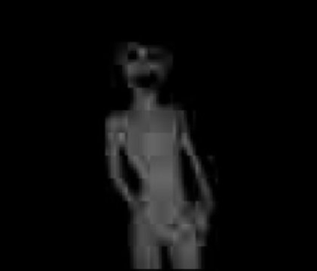 Isaac the eveadam guy📼 tweet media