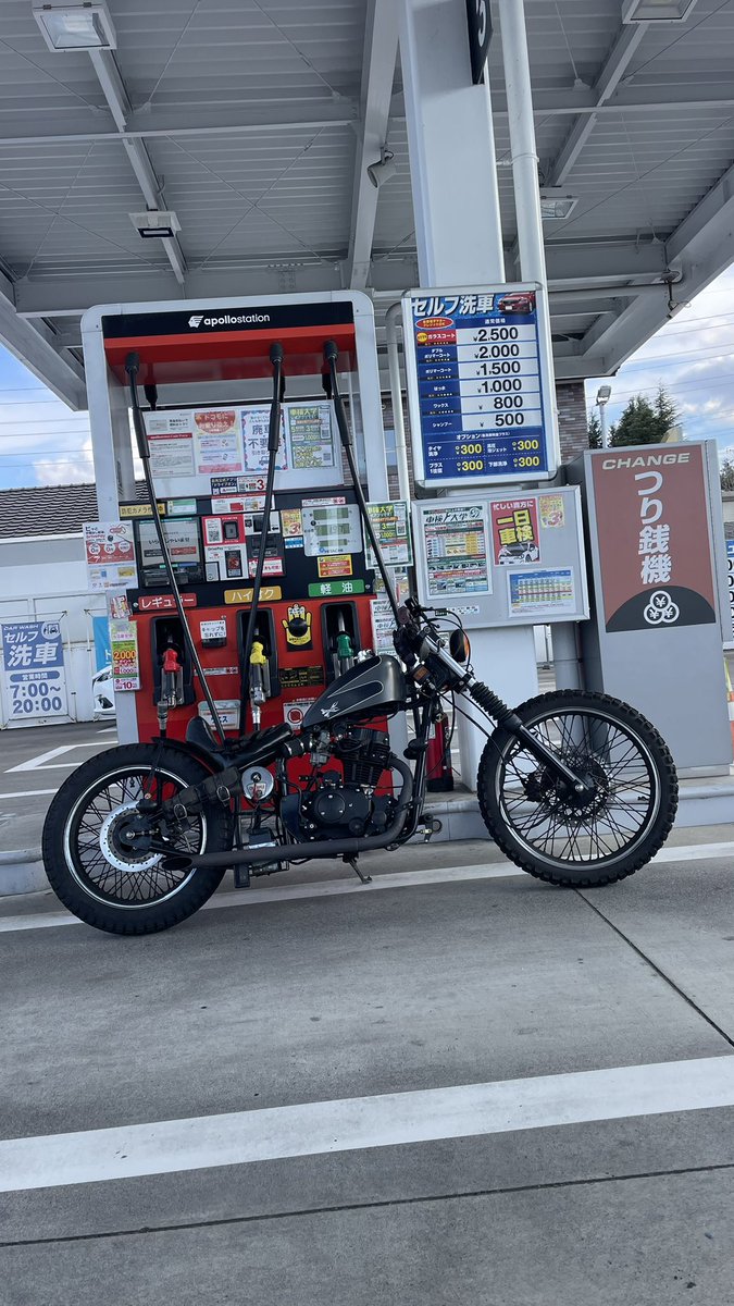 ベアパ tweet media