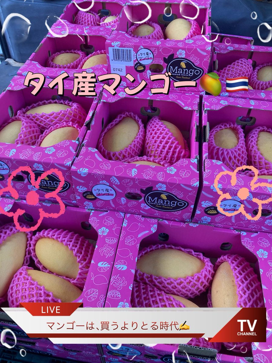 せな 赤チェック tweet media