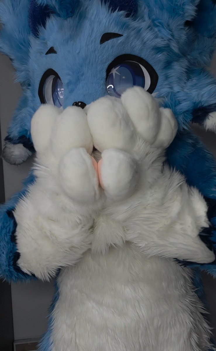 I am Pi ➡️ lifc2026 tweet media