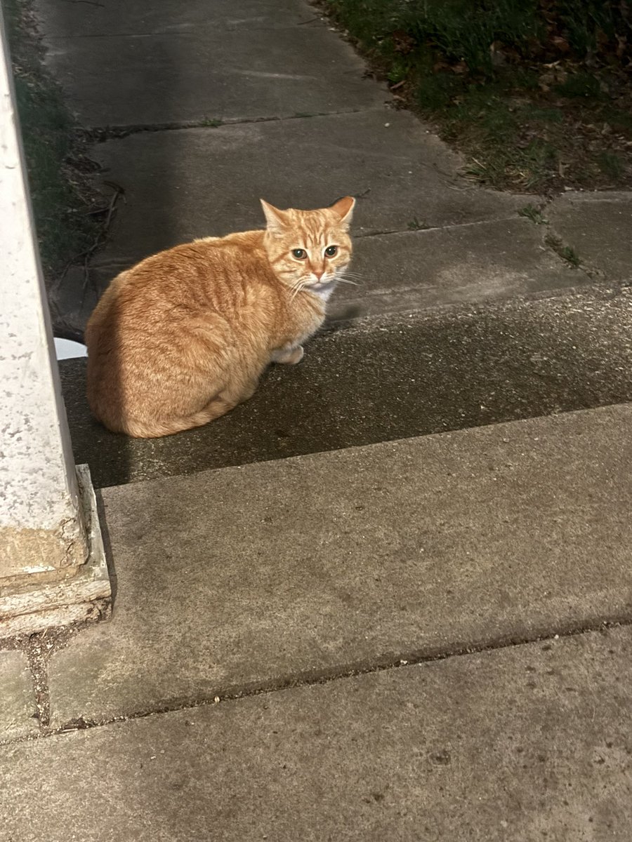 Keith Orejel tweet media