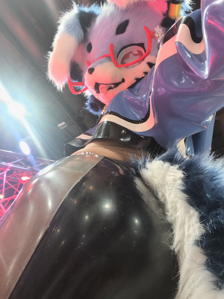 Foxy DREAM tweet media