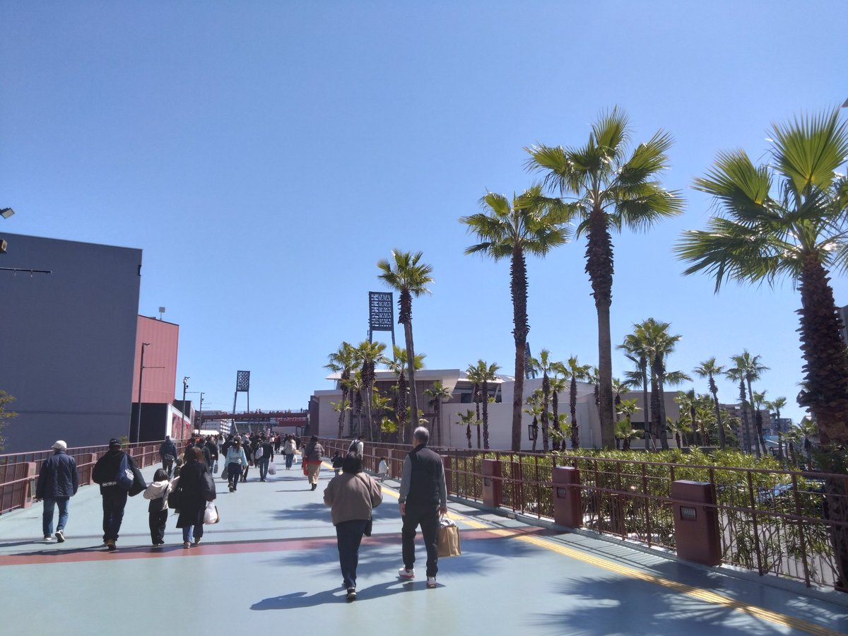 山岡　あゆ tweet media