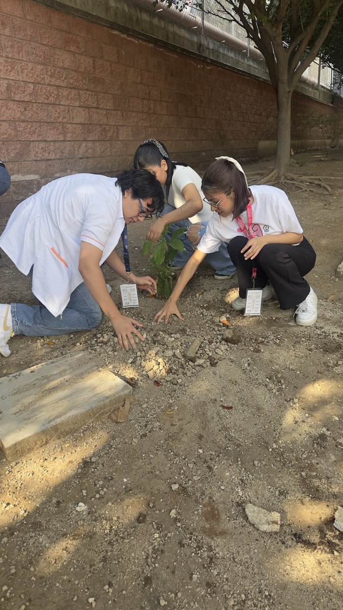 IsssteChiapas_'s tweet photo. #TequioElenaArizmendi #ISSSTE #HGBelisarioDominguez#TrabajoEnEquipo.#Chiapas celebra hoy!!!. Intervenimos las 5 Ofics. Representación. Tod@s. 2do Intervención
@martibatres @RockAvilaISSSTE @TDanielaMunoz @ISSSTE_mx 
Un mejor lugar @SemahnChiapas🏥🧑🏽‍⚕️👨🏽‍⚕️🧓🏼👨🏽‍🦳👵🏽👨🏽‍🦽‍➡️👶🏽🙌🏽❤️ https://t.co/Iig2znCqrr