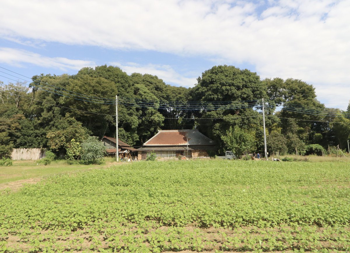 ビリーうどん｜URANIWA tweet media