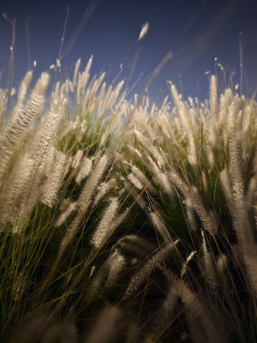 الكل tweet media