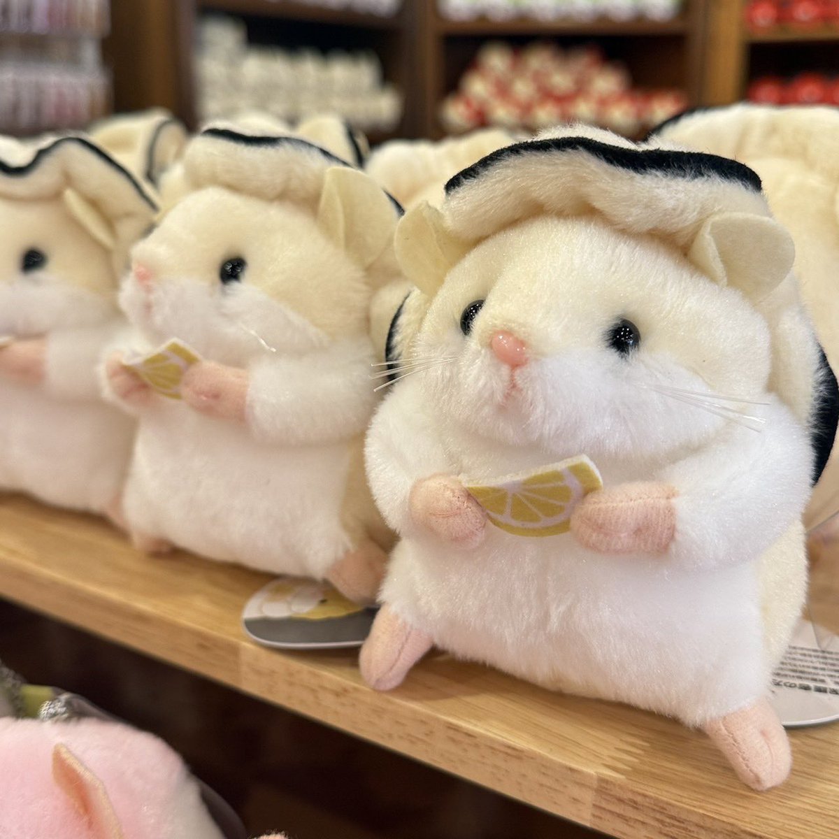 TORCH Online Shop tweet media