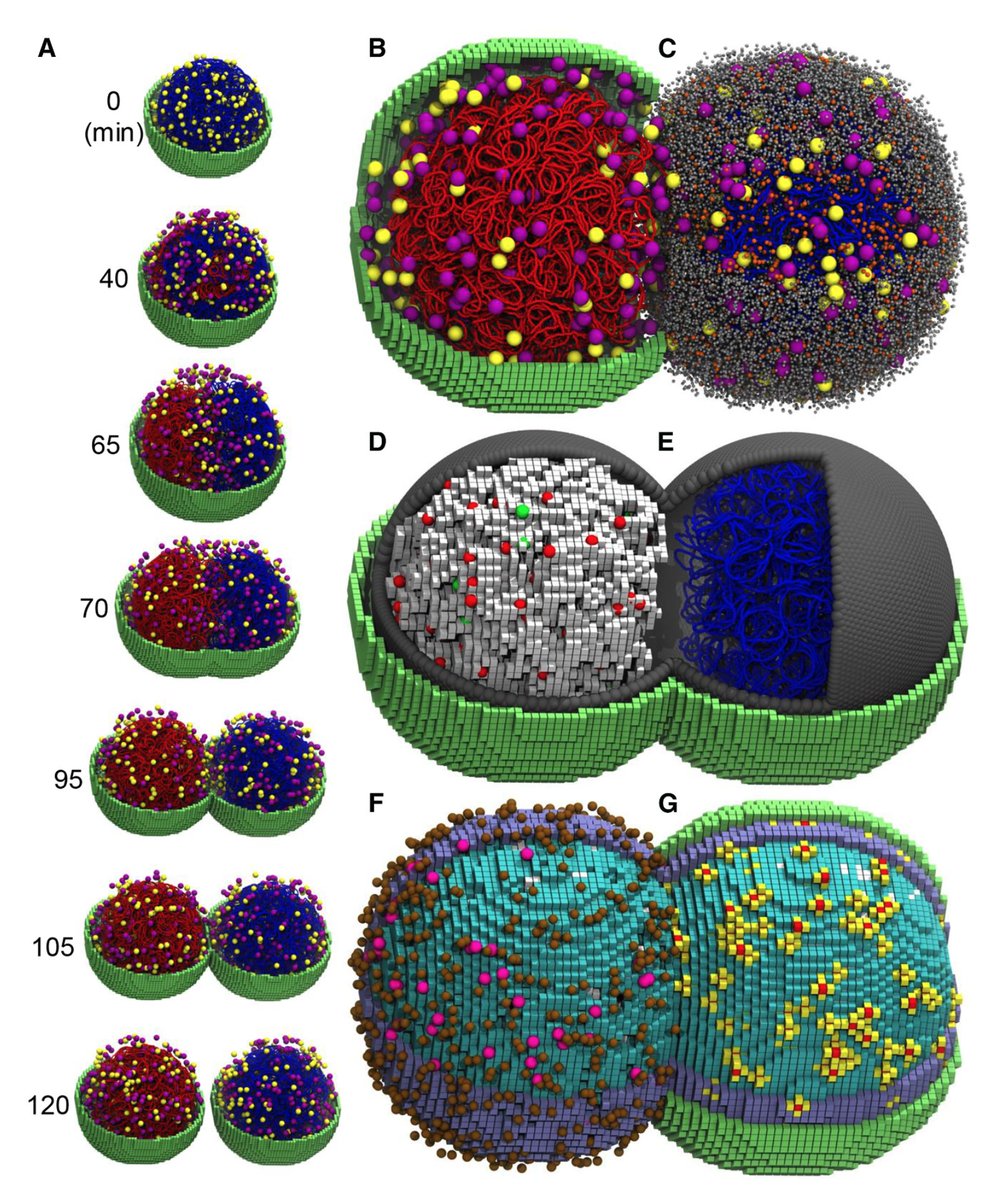 outside five sigma tweet media