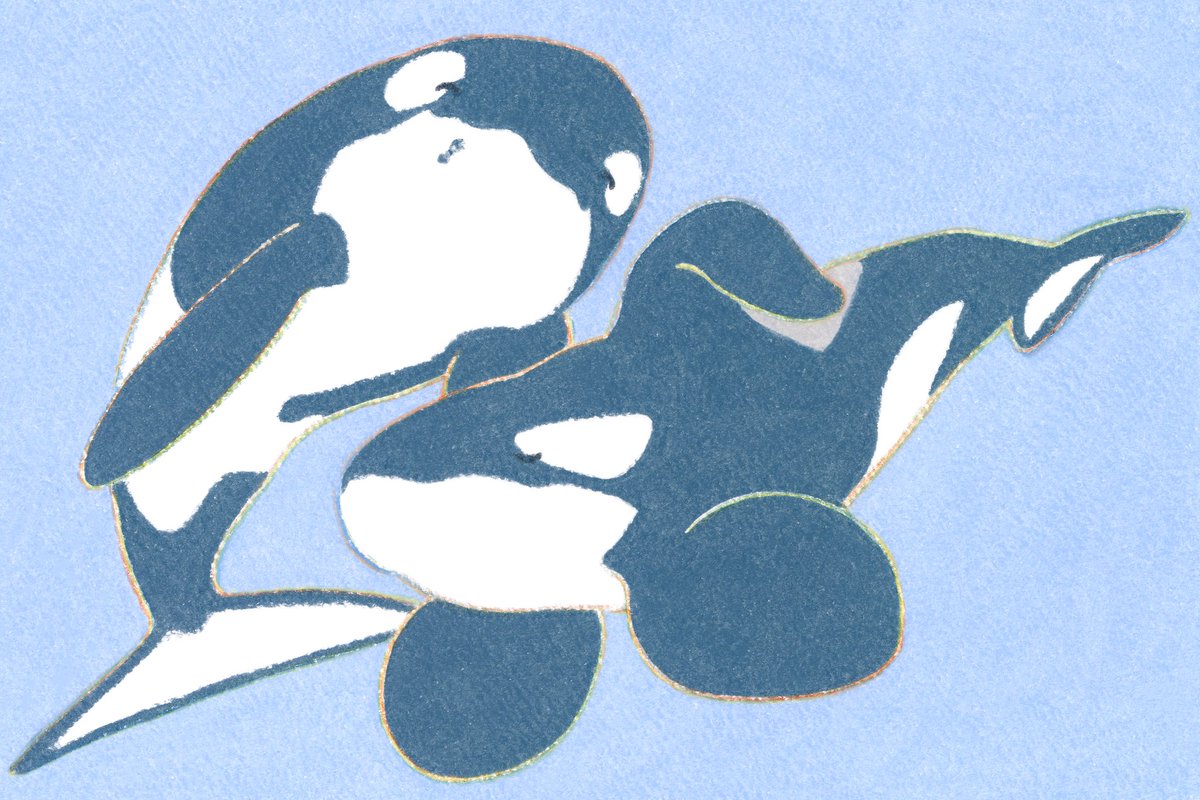 てらおかなつみ (@teraoka_natsumi) on Twitter photo 