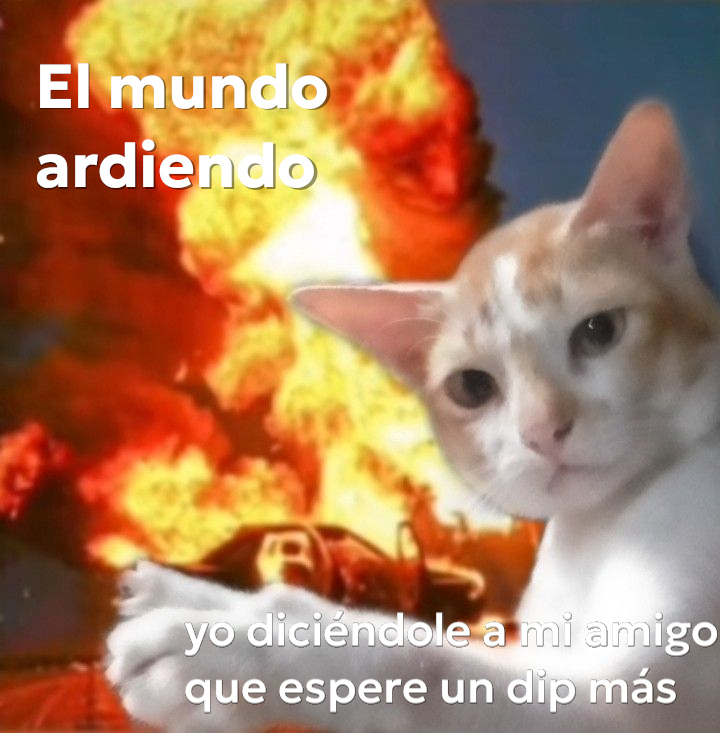 Alphajor tweet media