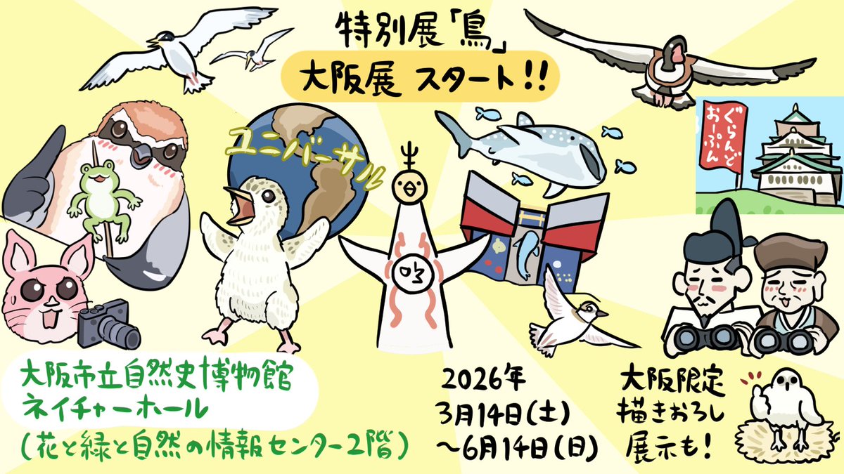 ぬまがさワタリ@『いきものニュース図解』など3/19発売 tweet media