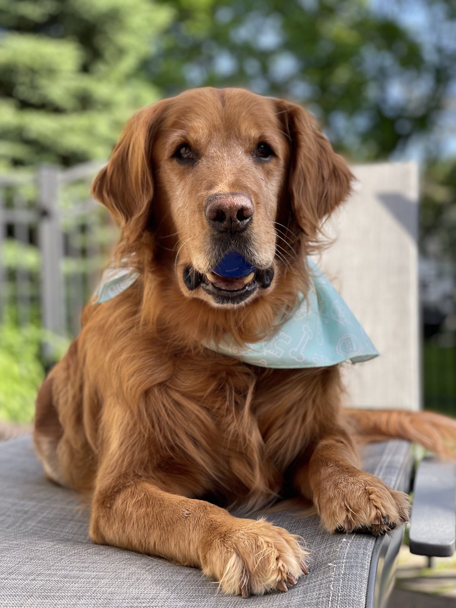 Eric Hale  tweet media