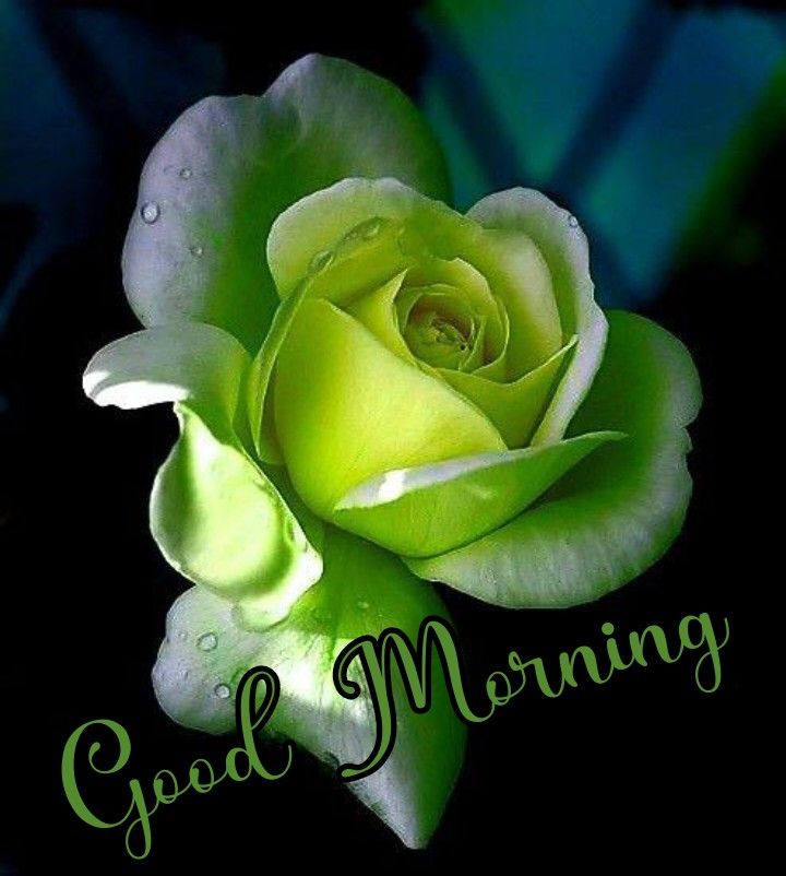 CPSingh50's tweet photo. @JS169075 Very good https://t.co/v5orOqtufc