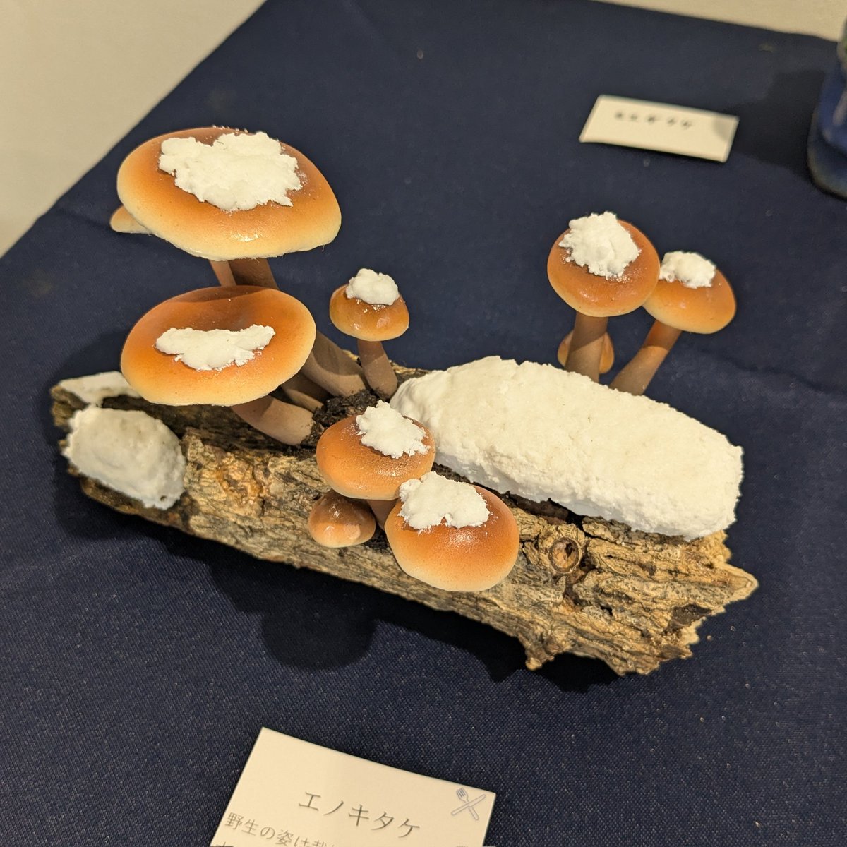 渋谷さんのことは（勝手に）「リアルきのこ造形界隈の先輩」として密かに尊敬していたので、実際にお会いして作品見れたのはすごい嬉しかった。クオリティすげぇ