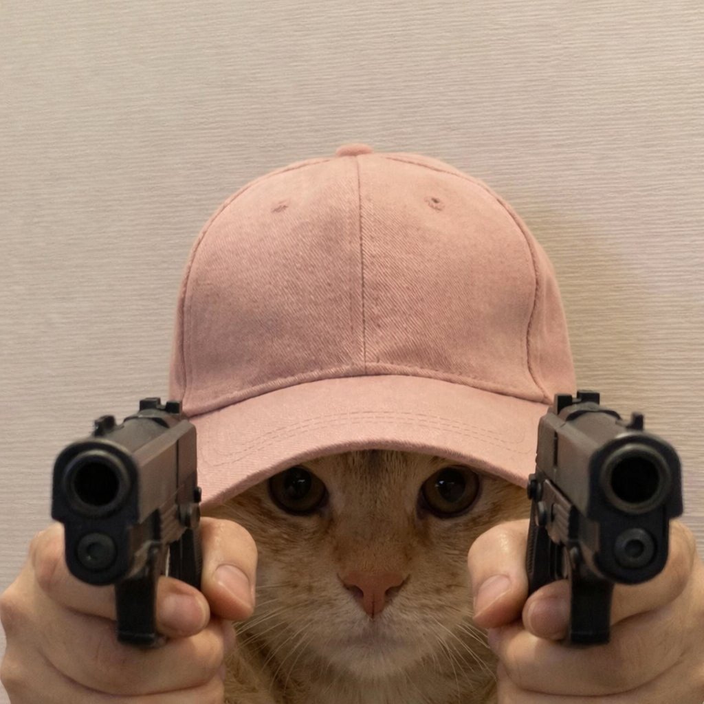 Just a cat $WID a cap. Easy to understand, easy to meme, and built to make memes great again. 
That’s why forced vamp attempts won’t work this is community-driven at its core