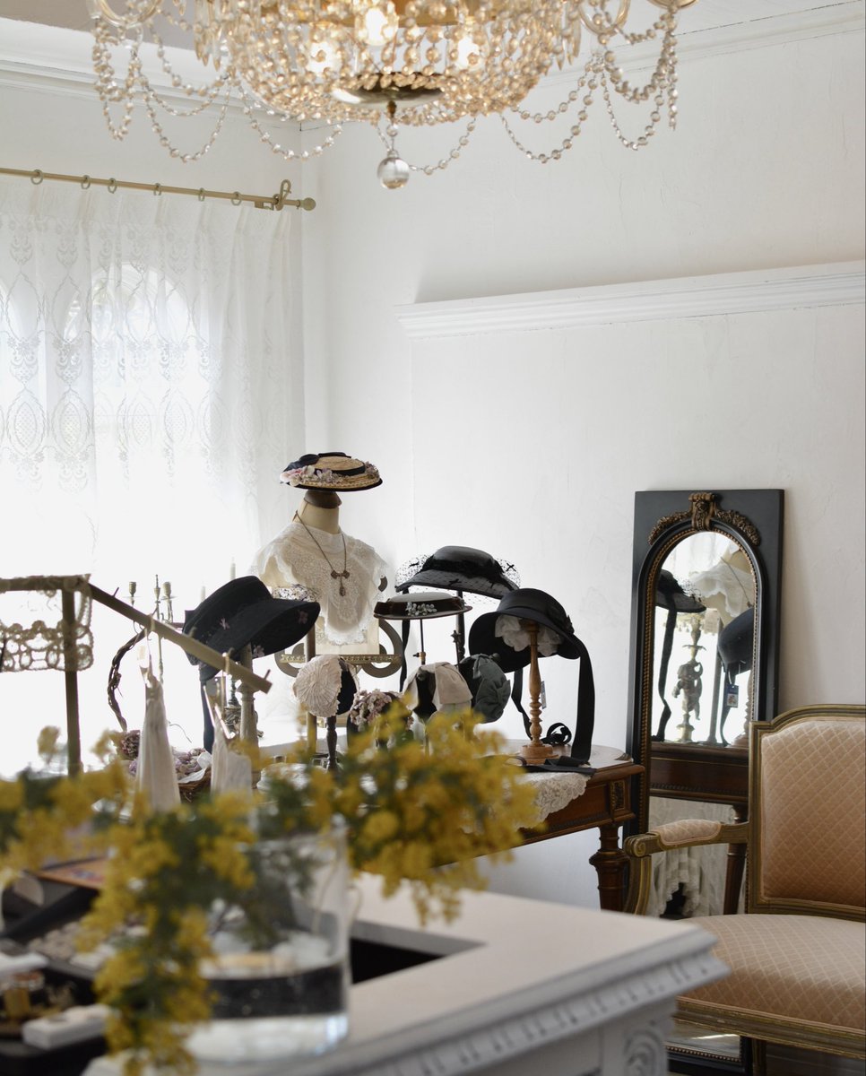 SERAPHIM tweet media