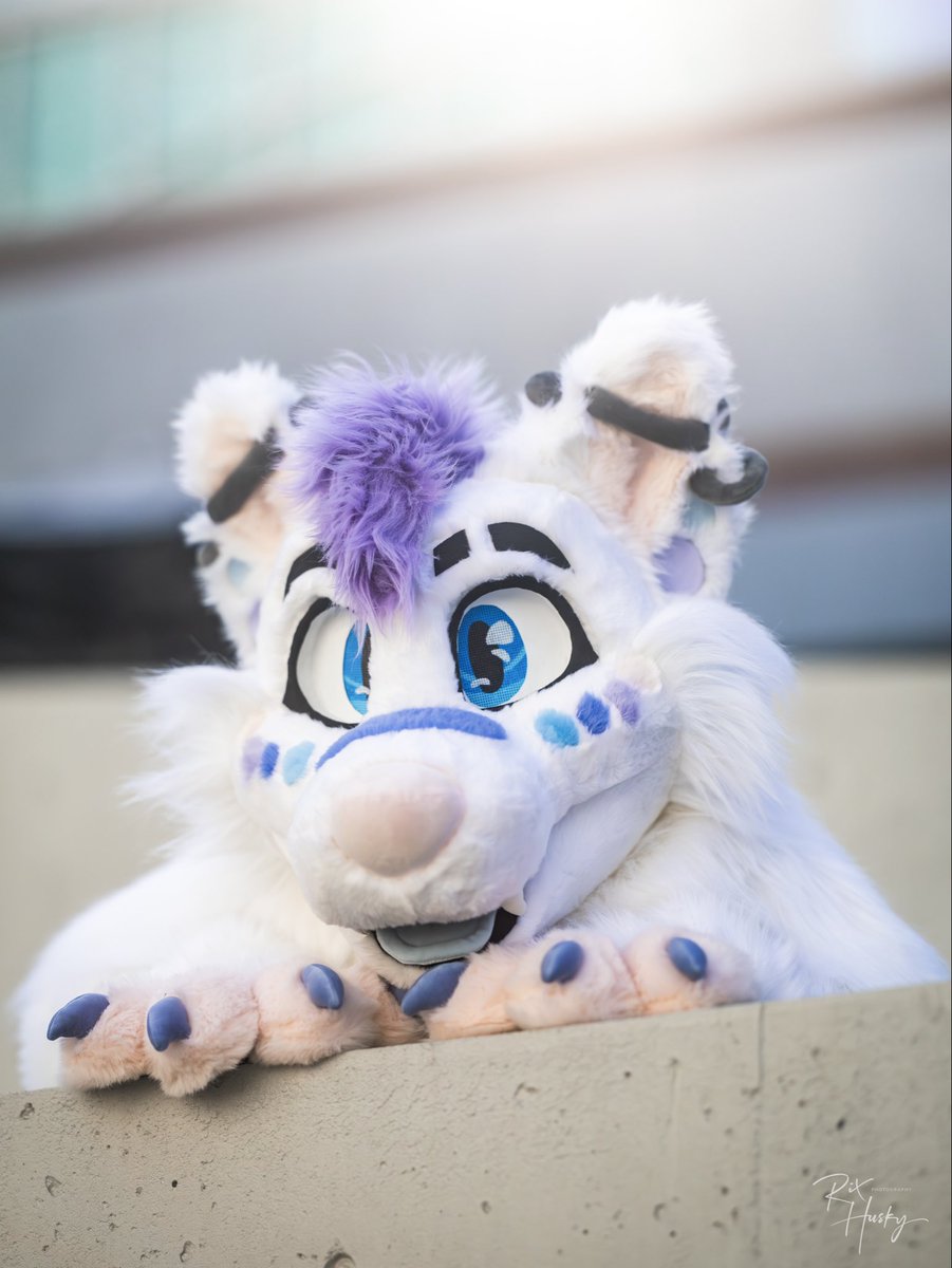 Pip @ FC tweet media