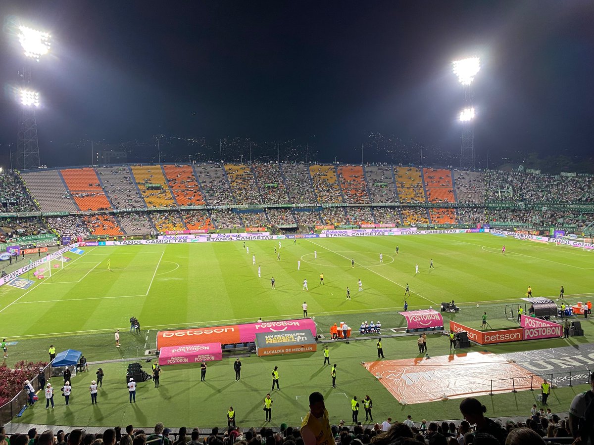 Alex' Parra M' tweet media