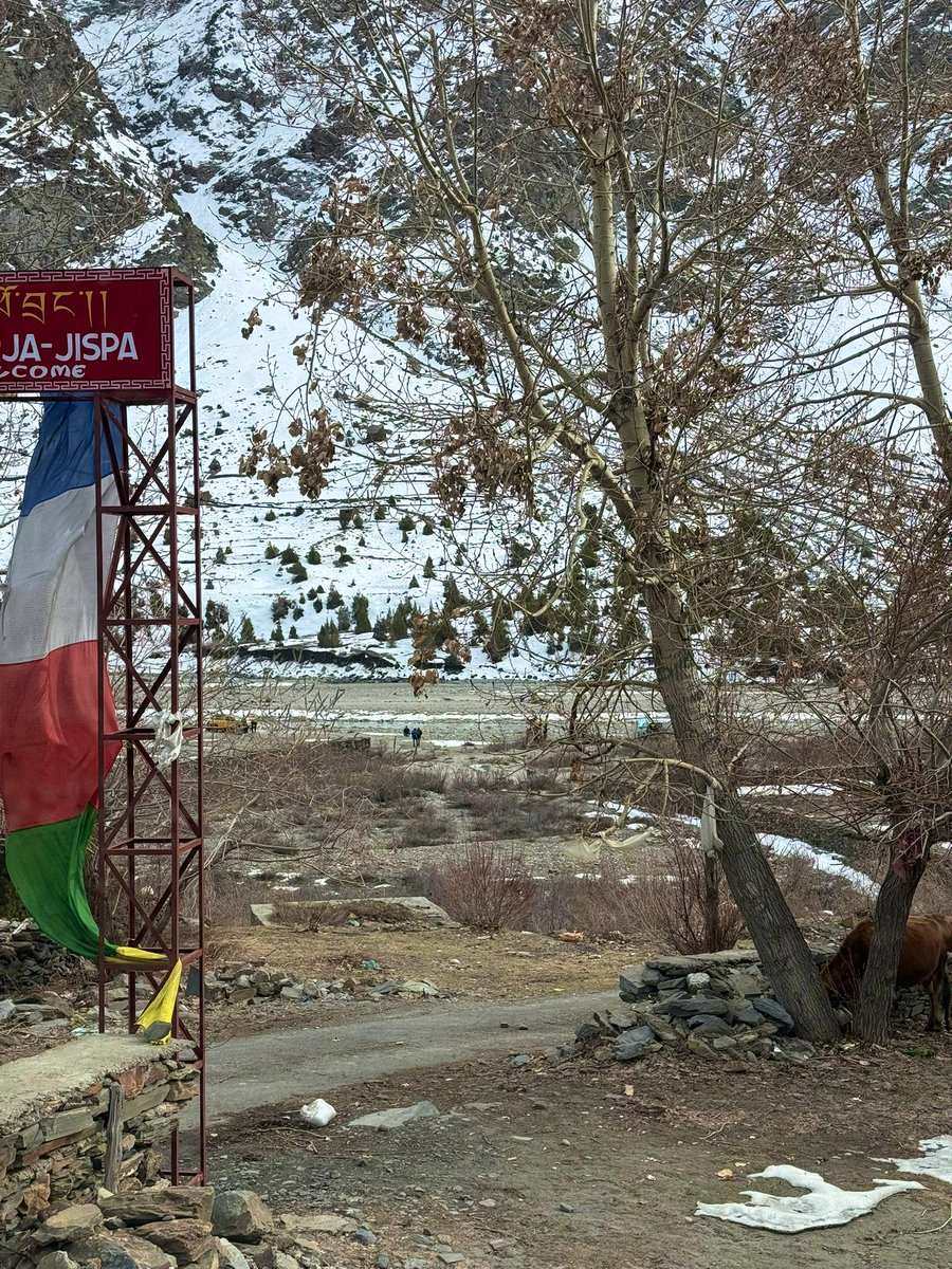 Rattan Dhillon tweet media