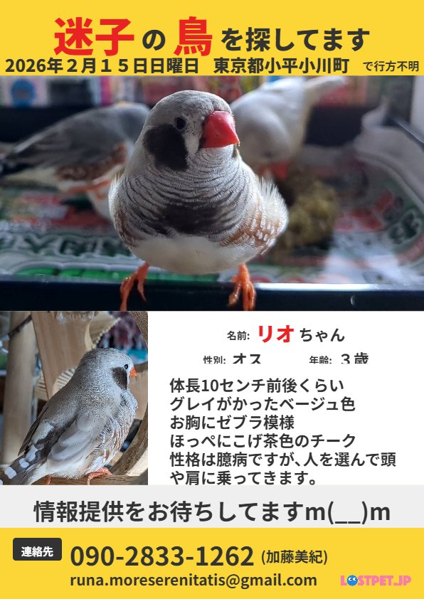 かとうみき tweet media