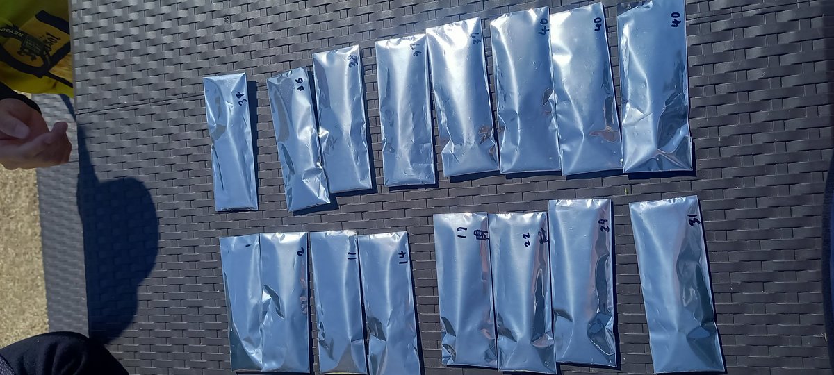 ヒバナ tweet media