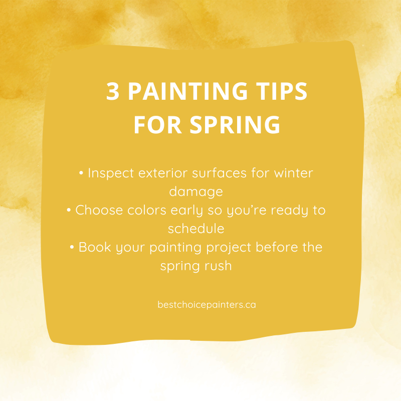 Best Choice Painters tweet media