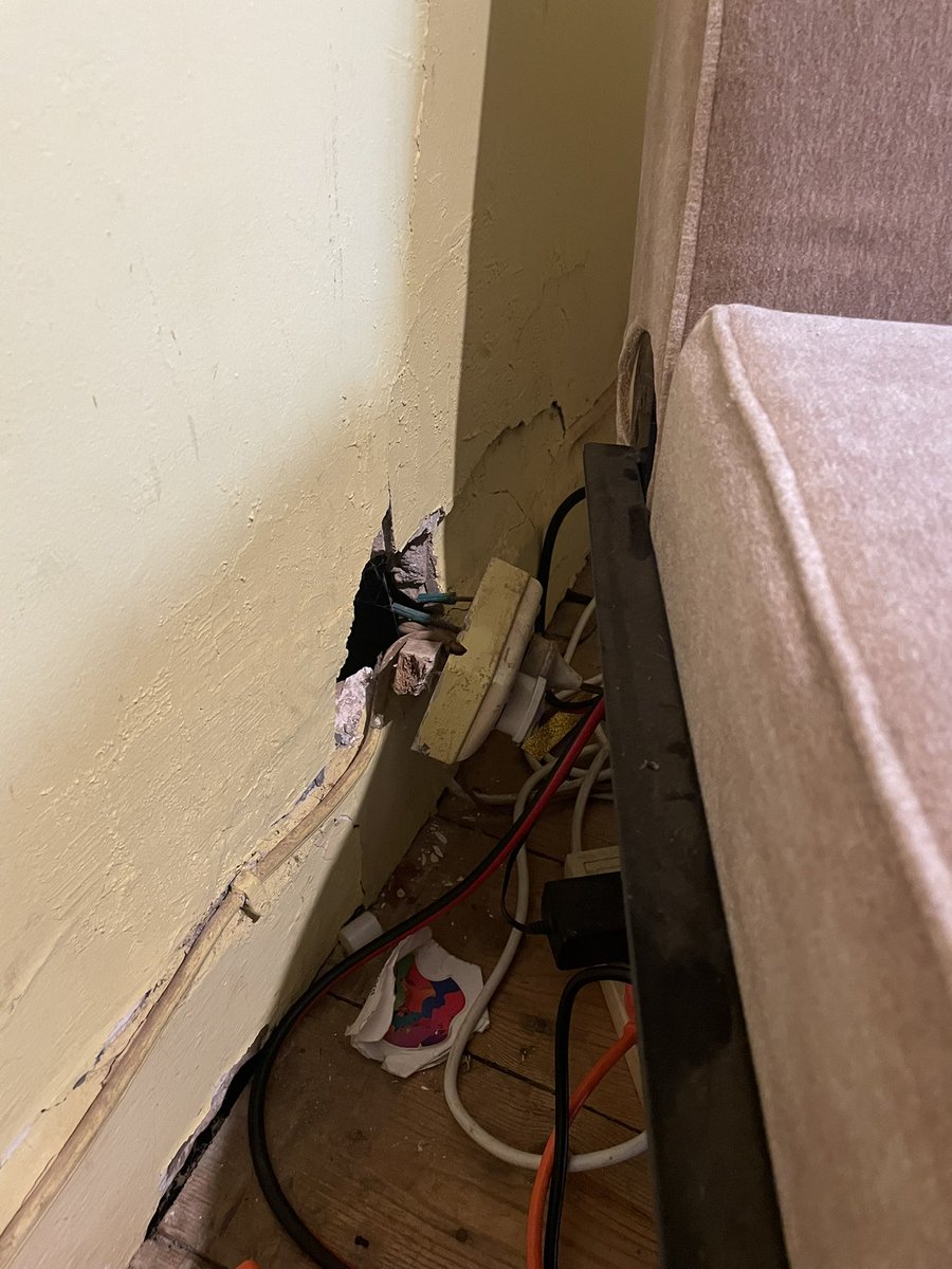 Nick Schadegg tweet media