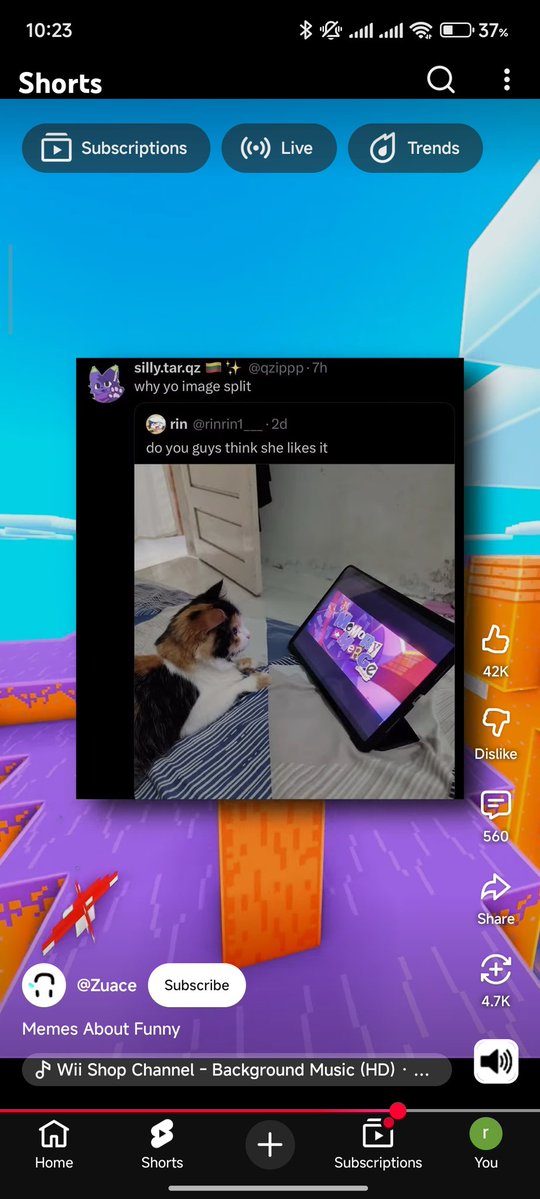 is this really going to be my best contribution to the yonkagor community