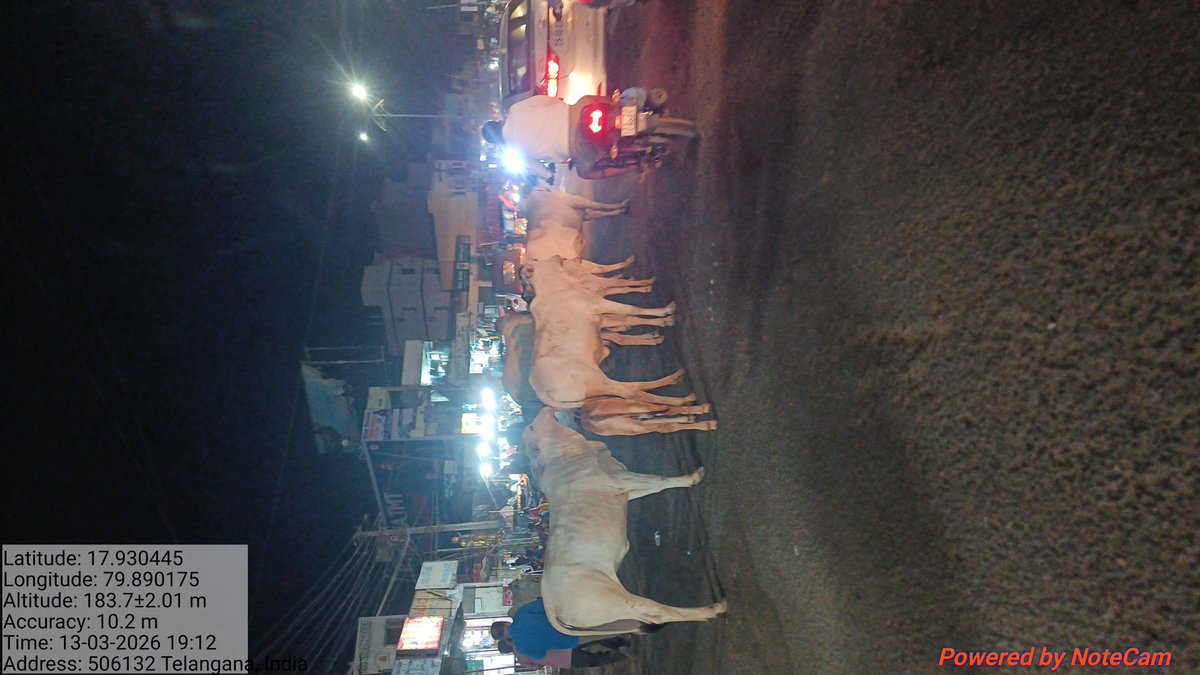 నర్సంపేట అంగడి ప్రాంతంలో రాత్రి పూట రోడ్డు పై పశువులు సంచరిస్తున్నాయి. వీటి వల్ల చాలా మంది వాహనదారులు ప్రమాదాలకు గురి అవుతున్నారు. దయచేసి రోడ్ పై పశువులు రాకుండా చర్యలు తీసుకోండి.<a href="/cpwarangal/">CP WARANGAL</a> <a href="/acpnarsampet/">ACP NARSAMPET</a> <a href="/SHO_Narsampet/">SHONarsampet</a> <a href="/Collector_WGL/">Collector Warangal Official</a> <a href="/MC_Narsampet/">MC Narsampet</a> <a href="/TelanganaCS/">Office of Chief Secretary, Telangana Govt.</a> <a href="/TelanganaDGP/">DGP TELANGANA POLICE</a>