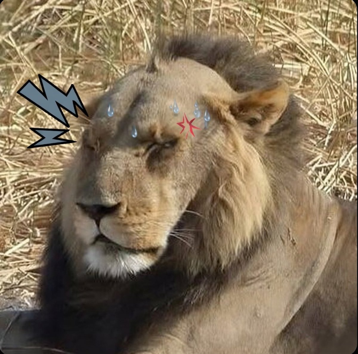 Radiation tweet media