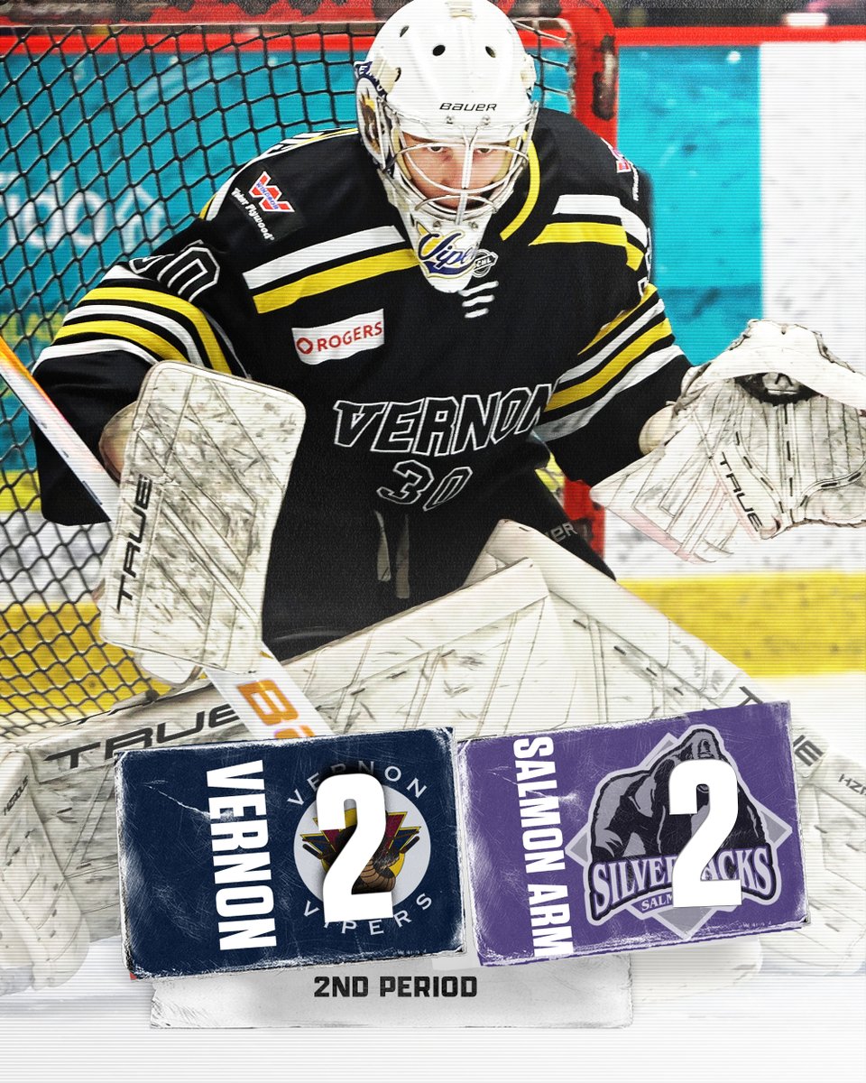 Vernon Vipers tweet media