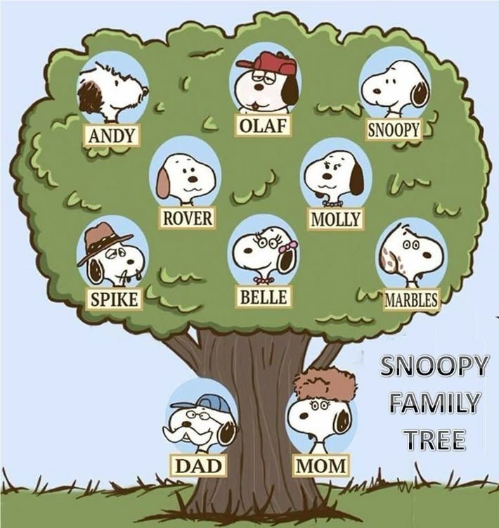 Snoopy tweet media