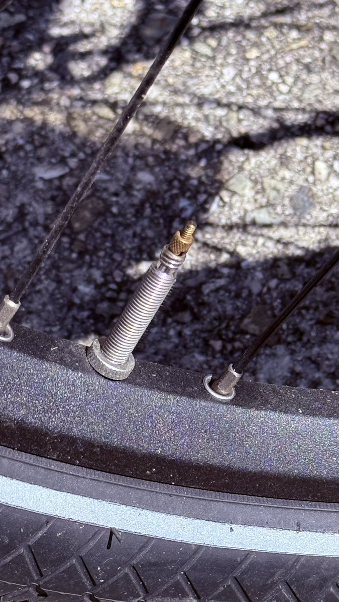 シンジ esk. Robloxクリエイター｜NeXtreme Studio tweet media