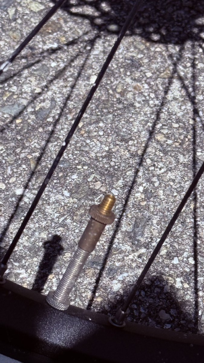 シンジ esk. Robloxクリエイター｜NeXtreme Studio tweet media