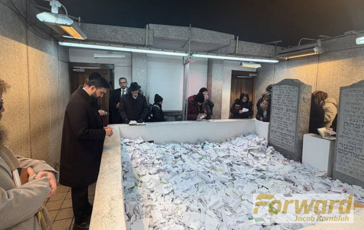 Nerdeen Kiswani tweet media