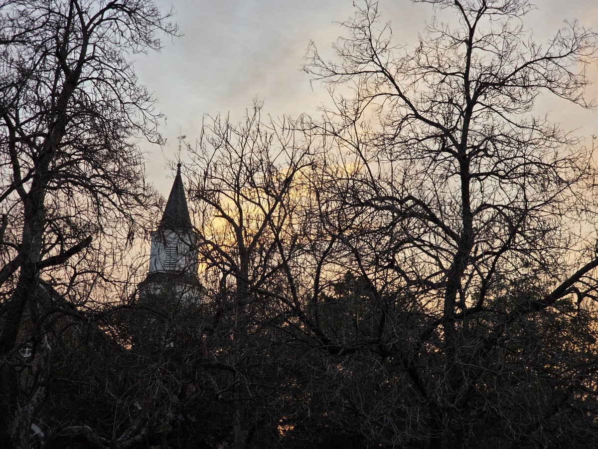 Wayne Craigmiles tweet media