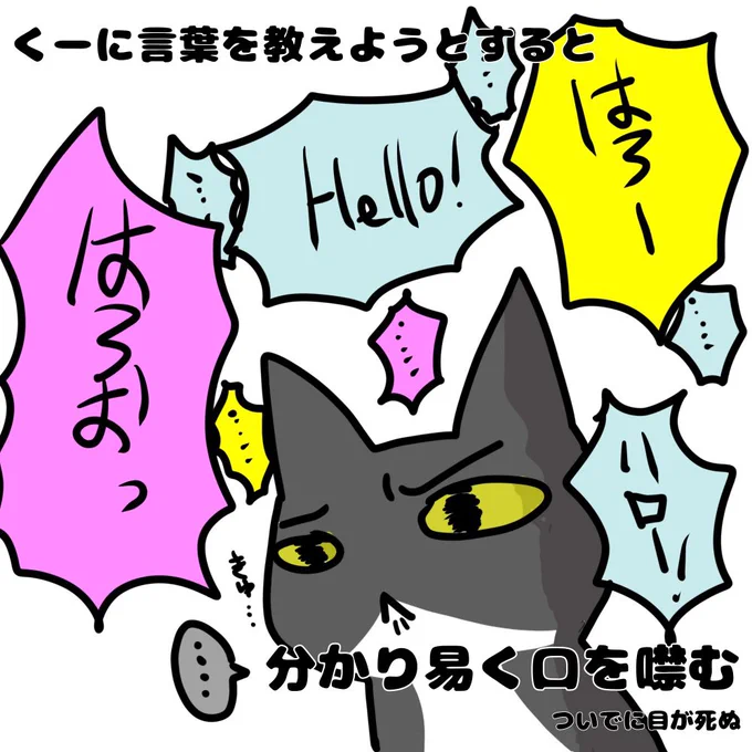 アンケートご協力ありがとうございました🙇‍♀️💕
日本語とは難しいもので
仕事などで忙しいから見られない、心身的にきついから見たくない
などなど理由がありますね。
皆様のご意見為になりました☺️
ちなみに私はある派でした😓Xがまばゆくくらむ日もある、、、

関係ない一コマ漫画🐱 