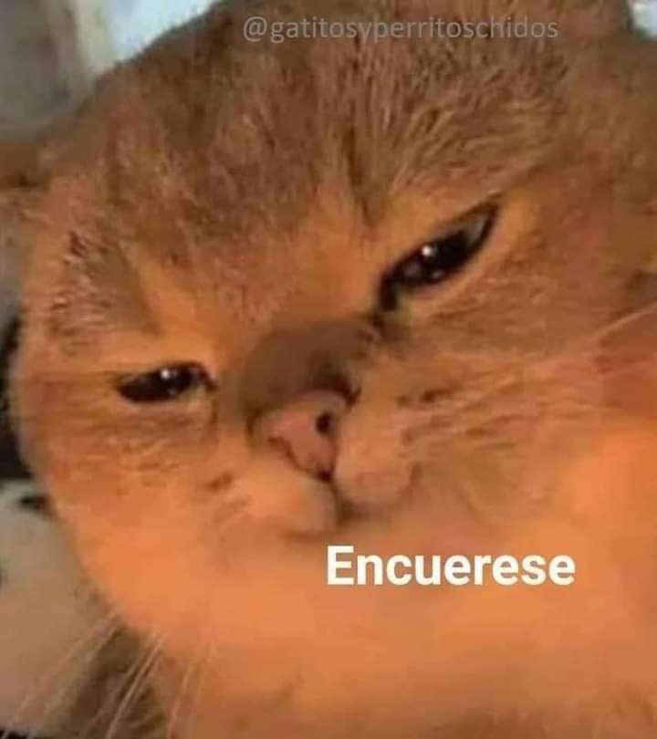 conquesecomeeso's tweet photo. Cuando hago un favor y me quieren venir dizque a dar las gracias. 

Yo: https://t.co/QULBDgfNyF