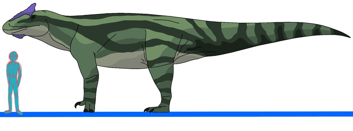 SolanTHM69420's tweet image. Another animal joining sector 001 is, had to delete because I had a few things unfinished 😅
Allobrachius sus - Different armed pig
a basal Saurischian  convergent with iguanadontids
Submitted by @Logansartz
#specevo #speculativeevolution