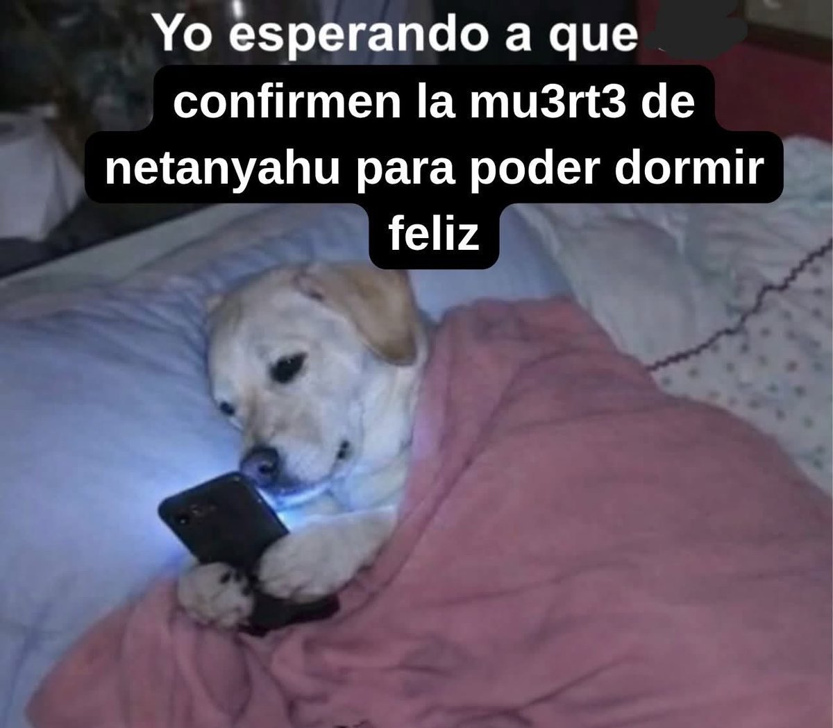 ☭ Amaury ЧК☭ tweet media