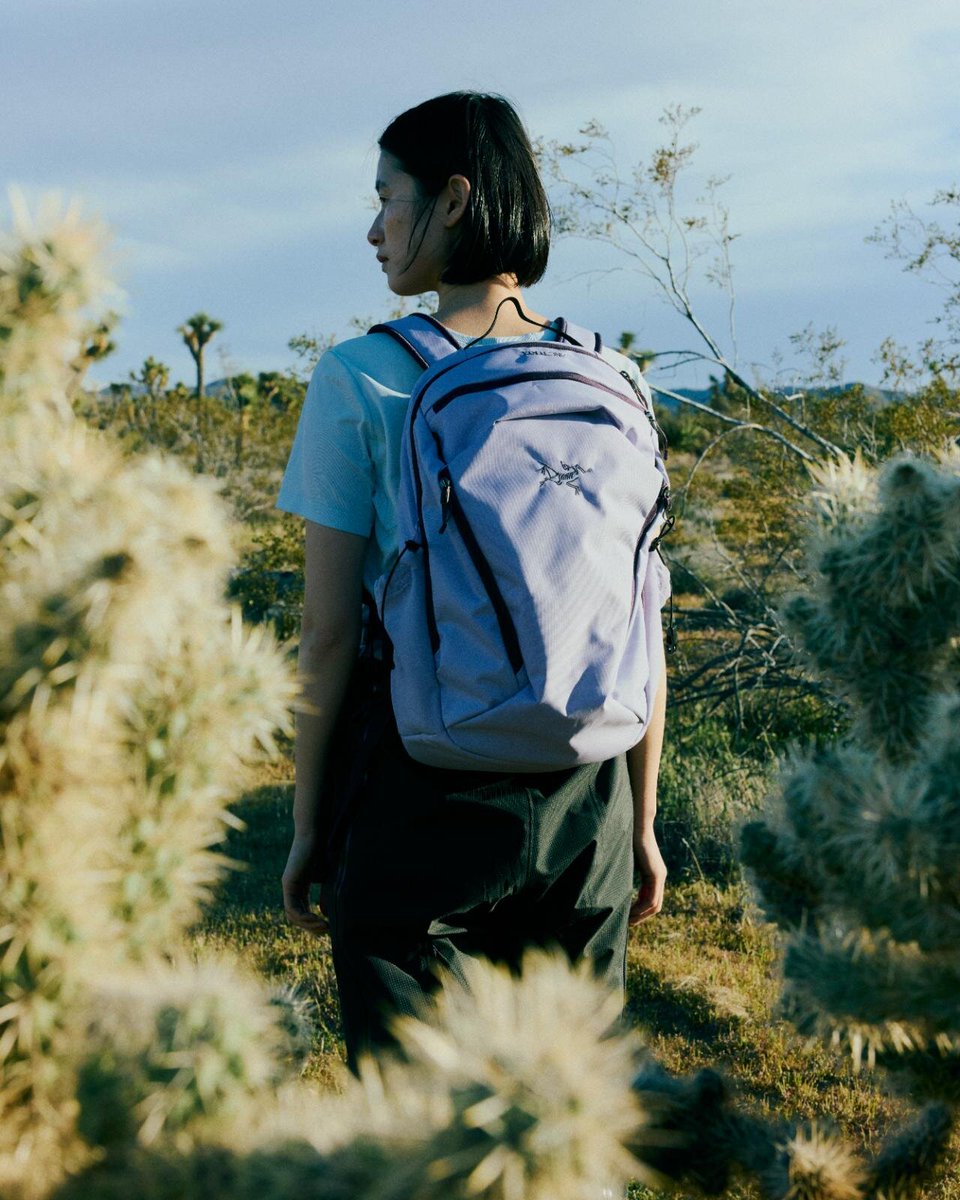 Fullress tweet media