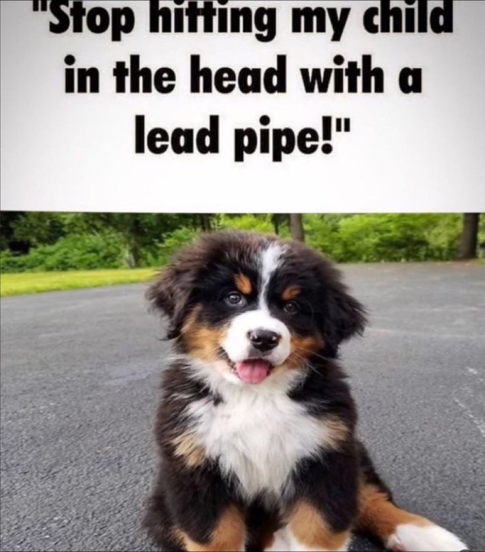 🌸Serfboard🌸 #sbg 🏳️‍⚧️ tweet media