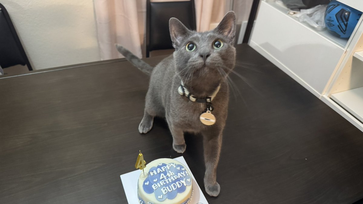 vuism's tweet photo. Can’t believe we have you for a whole year now. He is my most precious boy 🤪 https://t.co/fyjhIuyhCJ