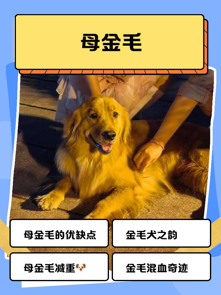 Michael Barber tweet media