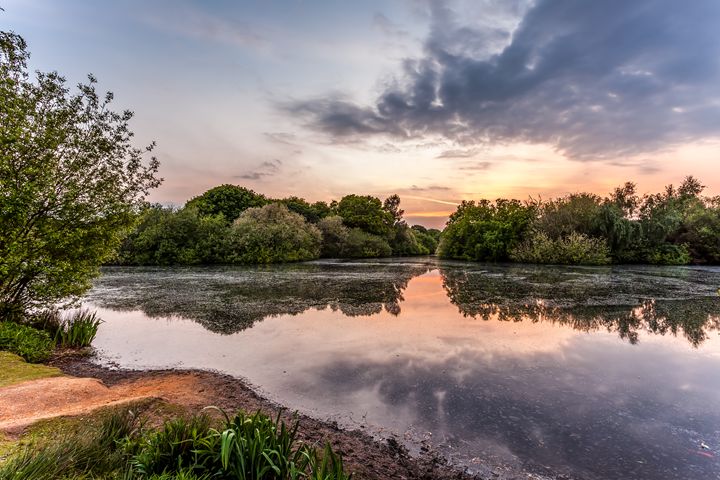 Fine Art Norfolk Photography tweet media