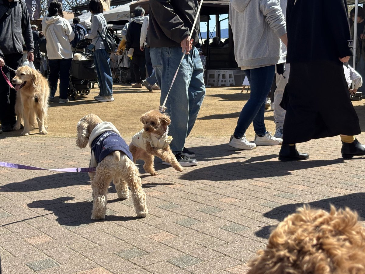 ZZy（じーじい） tweet media